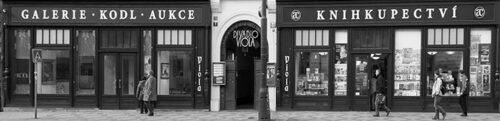 galerie kodl image uvod